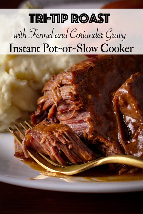 In this simple recipe, Tri-Tip is cooked in a rich gravy flavored with fennel, coriander, and paprika until it's so tender that it falls apart. #slowcooker #instantpot #tritip #steak #steakandgravy | alittleandalot.com Tritip Recipes Crock Pot, Tri Tip Slow Cooker, Tri Tip Instant Pot, Tri Tip Recipes Crockpot, Slow Cooker Tri Tip, Kid Friendly Salad Recipes, Tri Tip Steak Recipes, 2024 Holidays, Beef Tri Tip