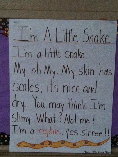 Snake Song Reptile Week Preschool, Snake Songs For Preschool, Preschool Reptile Theme, Reptile Art Preschool, Snake Activities Preschool, Reptiles Preschool, Zoo Activities Preschool, Reptiles Activities, Preschool Jungle