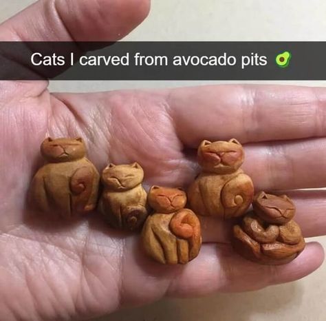 Avocado Pits, Wood Carving For Beginners, Fun Crafts To Do, Wood Carving Art, Whittling, Crafty Craft, Dremel, Cute Crafts, Crafts To Do