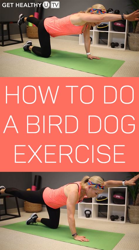 Sick of doing traditional crunches but still want to work on improving your abs? There are plenty of core exercises you can do besides crunches that still give you an ab workout and strengthen your core. A great example is the bird dog exercise, also sometimes called the “bird dog crunch.” Birddog Exercise, Stenosis Exercises, Bird Dog Exercise, Glutes Exercises, Spartacus Workout, Exercise Board, Chris Freytag, Upper Back Exercises, Postpartum Exercise