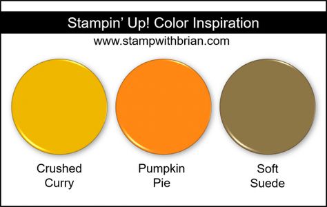 Stampin\' Up! Color Inspiration - Crushed Curry, Pumpkin Pie, Soft Suede Pineapple Punch, Colour Challenge, Lantern Designs, Colors Combinations, Colour Combos, Color Challenge, Color Codes, Designer Series Paper, Matching Colors