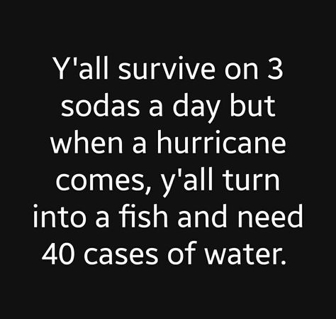 Florida Funny, Southern Humor, Florida Life, Belly Laughs, Good For The Soul, Need A Laugh, Funny Wallpaper, Truth Hurts, Survival Prepping