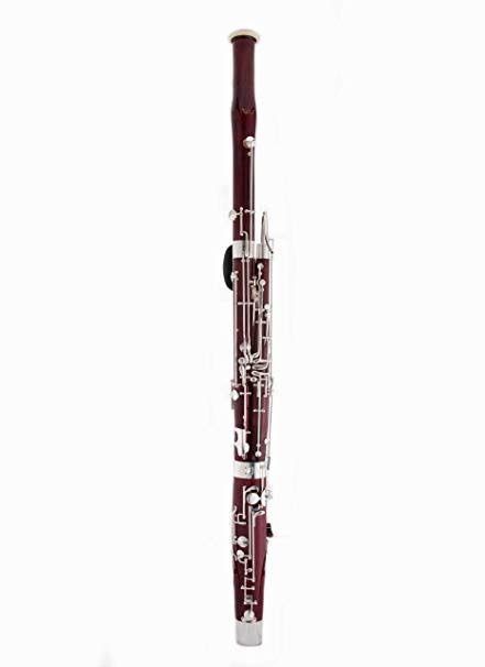 Woodwind Instruments, Bassoon, Musical Instruments, Lowest Price, Musical, Plating, United States, Music