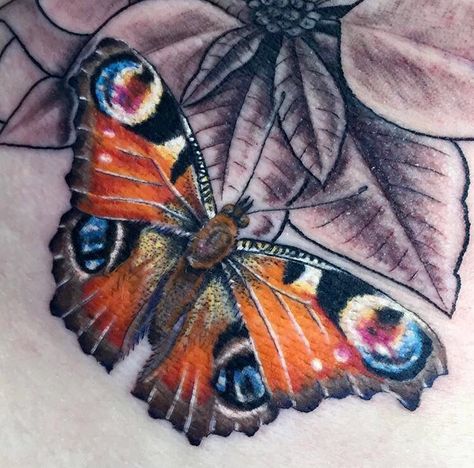 Peacock butterfly tattoo. Realism. Colour. Colour Butterfly Tattoo, Peacock Butterfly Tattoo, Colour Butterfly, Progress Tattoo, Realistic Butterfly Tattoo, Colorful Butterfly Tattoo, Tattoo Realism, Butterfly Tattoos On Arm, Flower Wrist Tattoos