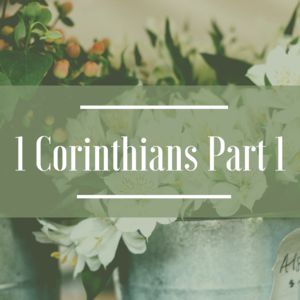 1 Corinthians, Part 1 (Chapters 1-8) — Scripture Paths Corinthians Bible, Book Of Philippians, Inductive Bible Study, Jesus Today, New Bible, Study Scripture, Study Pictures, Bible Study Lessons, Lesson 1