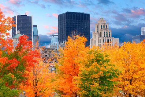 Free Things to Do in Montreal Every Day This October 2017 Canadian Travel Destinations, Ontario Canada Travel, Montreal Vacation, Ottawa Photography, Things To Do In Montreal, Visit Montreal, Canada Vacation, Canada Images, Canadian Travel