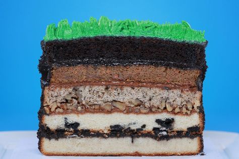 5 Layer Earth Cake Geology Cake, Layer Chocolate Cake, Earth Cake, Rosanna Pansino, Nerdy Nummies, 50th Cake, Walnut Cake, Delicious Cakes, Food Science