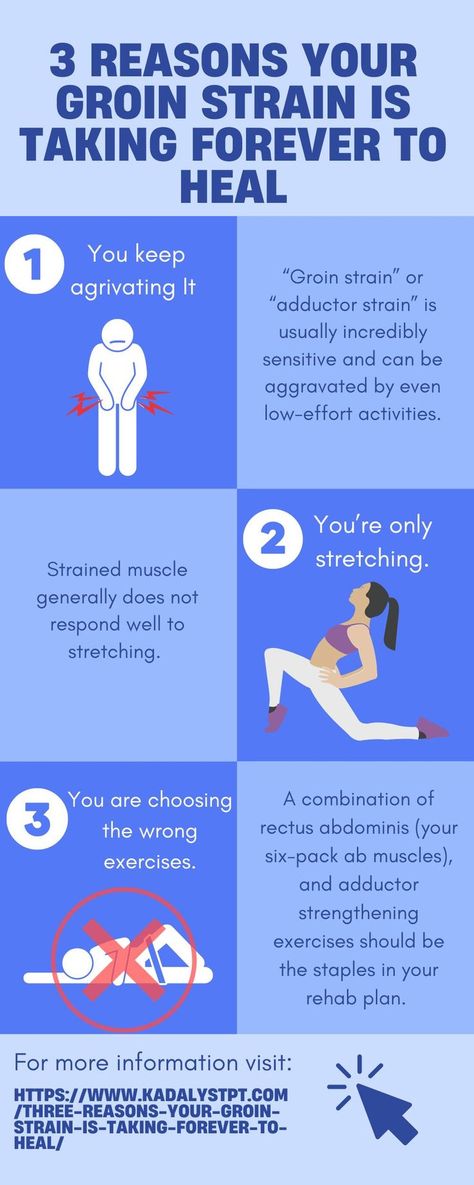 How To Heal A Pulled Groin, Groin Strain Exercises, Groin Strengthening Exercises, Pulled Groin Muscle In Women, Groin Pain Relief Women, Thigh Muscle Pain, Groin Strain, Inner Thigh Muscle, Leg Workouts