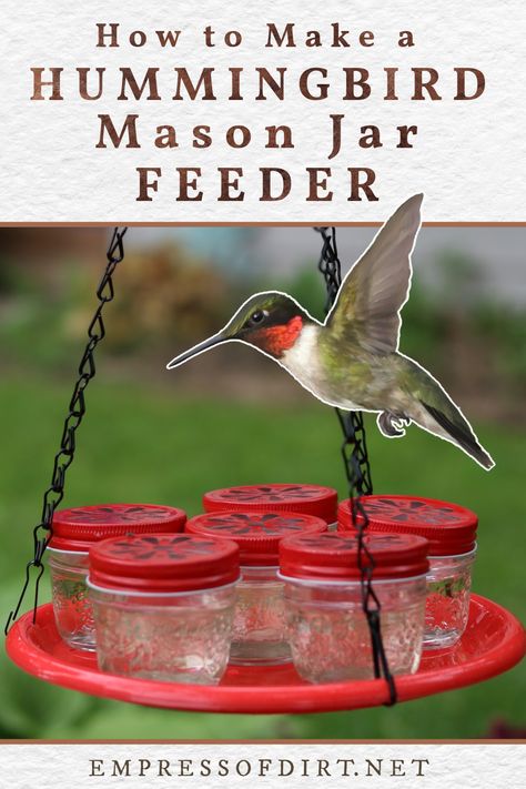 Mini mason jars with floral cutout lids on a hanging plate used as a hummingbird feeder. Mason Jar Hummingbird Feeder, Homemade Hummingbird Feeder, Diy Hummingbird Feeder, Hummingbird Food, Hummingbird Nectar, Homemade Bird Feeders, Small Mason Jars, Hummingbird Feeder, Diy Bird Feeder