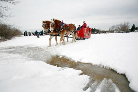 Sled rides Snow Story, Maine Christmas, Moving To Maine, Sled Ride, Freeport Maine, Maine New England, Winter Carnival, Sleigh Rides, Maine Living