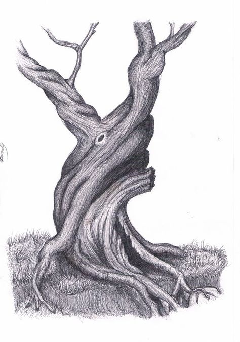 Old Tree Drawing by LaLupo on deviantART Old Tree Drawing, Big Tree Drawing, Oak Tree Drawings, Tree Drawings Pencil, Twisted Tree, Tree Tattoo Designs, Tree Sketches, Old Oak Tree, Tree Of Life Tattoo