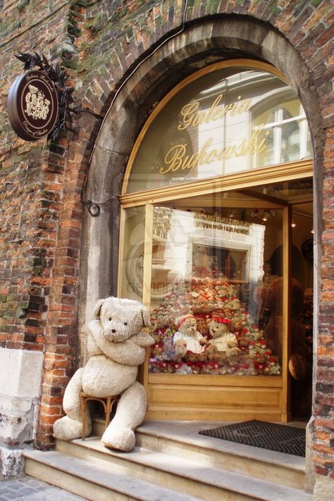 Teddy Bear Shop, Teddy Bear Hug, Bear Shop, Shop Fronts, A Teddy Bear, Love Bear, Bear Hug, Shop Window Displays, Central Europe