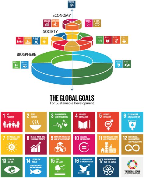 17 Sdg Goals, 17 Sustainable Development Goals, Sustainable Development Design, Sdgs Goals, Sdg Goals, Sustainable Goals, Un Global Goals, Sustainable Development Projects, Global Goals