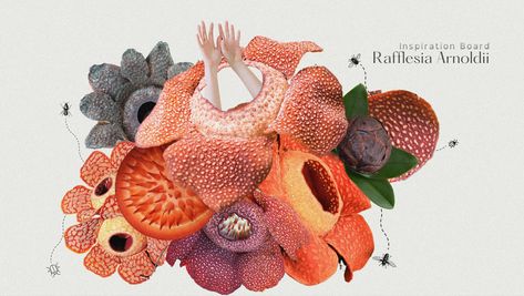 Biomimicry Fashion, Rafflesia Arnoldii, Procreate Apple Pencil, Space Plants, Art Homework, Fashion Illustration Tutorial, Illustration Tutorial, Conceptual Fashion, Fashion Boards