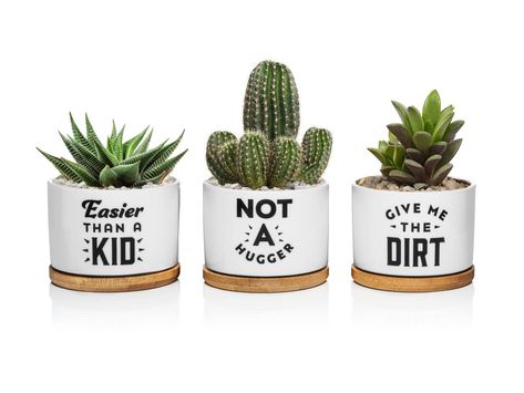 PRICES MAY VARY. 3 Ceramic succulent pots - plants not included Drainage holdes and bamboo base 3'' tall, 3.54'' diameter Perfect gift for gardeners, plant lady, is assembly required: False Transform your workspace into a green oasis with our delightful desk planters. This 3 pack set is perfect for those who are fond of cute plants and desire to add a touch of nature's charm to their indoor spaces. The ceramic plant pots are 3'' tall and have a diameter of 3.54'', making them ideal pots for succ Plant Houses, Plant Pot Ideas, Plant Sayings, Potted Plants Indoor, Pots For Succulents, Funny Gifts For Mom, Funny Housewarming Gift, Pots Plants, Ceramic Succulent Pots