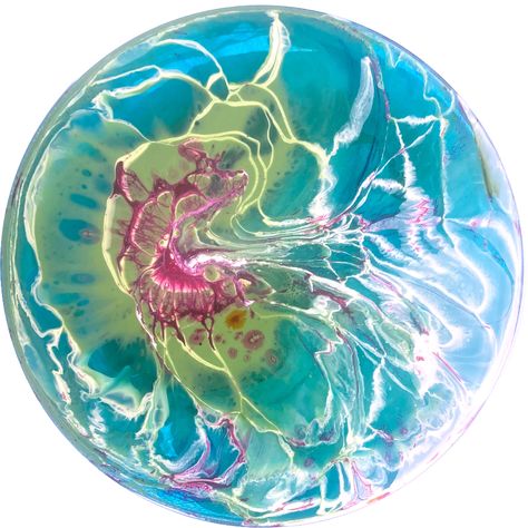 Petri Dish Art, Klari Reis, Dish Art, Growth And Decay, Petri Dishes, Bio Art, Petri Dish, Insta Icon, World View