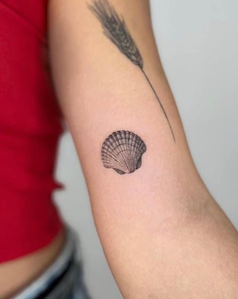 Shell Tattoo Meanings And 25 Jaw-Dropping Design Ideas 25 Cute Shell Tattoo, Sea Shell Tattoos For Women, Shell Tattoos For Women, Scallop Tattoo, Scallop Shell Tattoo, Small Shell Tattoo, Shell Tattoo Ideas, Shells Tattoo, Clam Tattoo