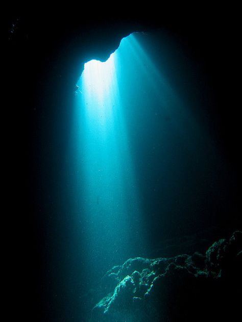 Ray of Light in Underwater Cave | Flickr - Photo Sharing! Light Underwater, Underwater Light, Ray Of Light, Under Water, Under The Water, Underwater Background, Underwater Caves, Underwater City, Underwater Painting