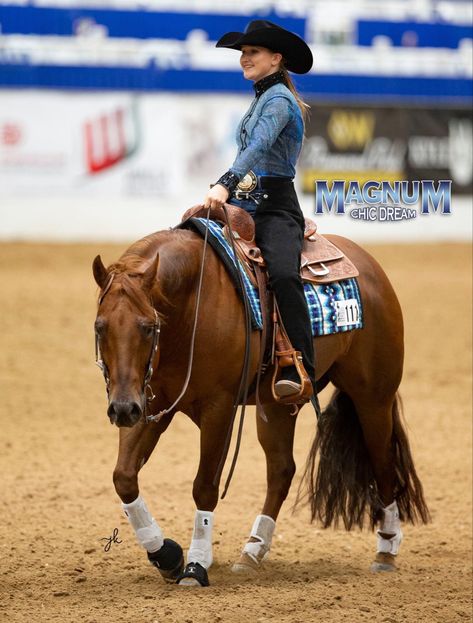 Western Pleasure Aesthetic, Western Horse Show Outfits, Ranch Riding Show Outfits, Western Pleasure Riding, Aqha Western Pleasure, Western Riding Clothes, Western Pleasure Outfit, Ranch Riding, Aqha Horses