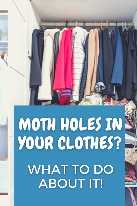 How To Prevent Moths In Closets, Moth Eaten Clothes, How To Get Rid Of Clothes Moths, How To Get Rid Of Moths In Closet, Moths In Closet, Moth Holes In Clothes, Getting Rid Of Moths, Moth Fly, Hand Stitching Techniques