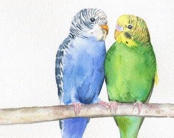 Parakeet | Etsy Parakeet Painting, Budgie Painting, Bird Portrait, Watercolor Paintings Of Animals, Paint Your Pet, Watercolor Pet Portraits, Parakeets, Watercolor Wall, Art Texture