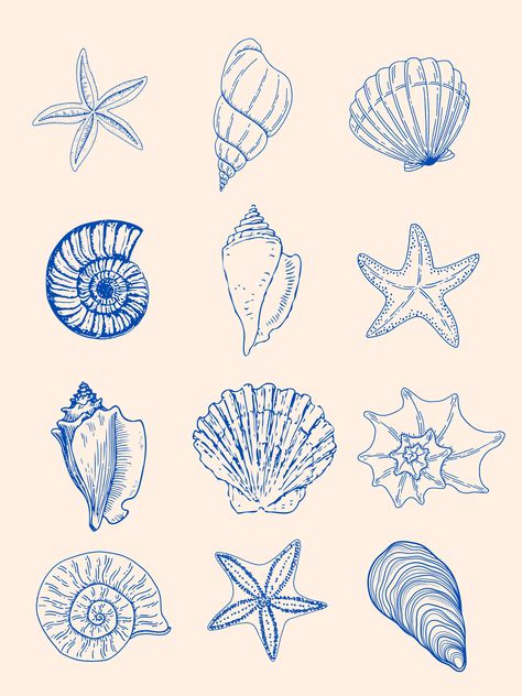 Blue shells with neutral background Seashell Poster, Bad Room, Neutral Background, Blue Poster, Summer Wallpaper, World Traveler, Bedroom Makeover, Blue Backgrounds, The Hamptons