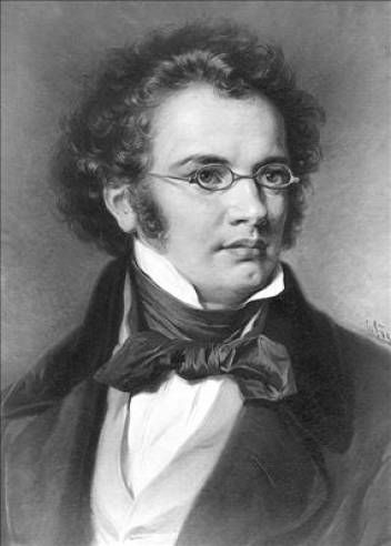 Franz Schubert Franz Peter Schubert, Romantic Composers, Franz Schubert, Classical Music Composers, Famous Composers, Classical Musicians, Historical People, People Of Interest, Music Composers