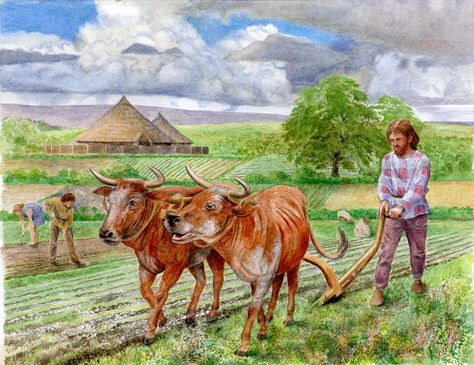 Julian Cross - Iron Age farm with ploughing in the foreground Kingdom Of Kongo, Goddess Of Nature, Farming Tools, Ancient Celts, Aztec Warrior, Celtic Mythology, Historical Period, Iron Age, Historical Pictures