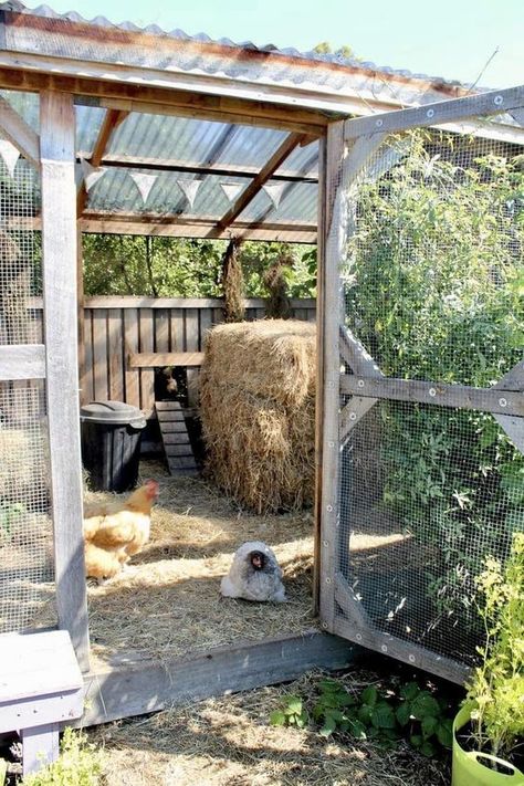 Country Cottage - Country Cottage added a new photo. Hay Shed, Cute Chicken Coops, Chicken Coop Garden, Chicken Shed, Chicken Pen, Fairy Wren, Chicken Coop Run, Backyard Chicken Farming, Chicken Life