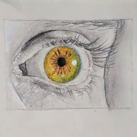 Hazel Eye Drawing, Hazel Eyes Drawing, Hazel Green Eyes, Hazel Green, Eye Sketch, Hazel Eyes, Eye Drawing, Drawing Tips, Green Eyes