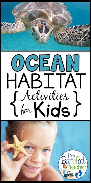 Find more Ocean Activities than you know what to do with for your Preschool & Kindergarten aged littles! I've included art & crafts, books, freebies, literacy activities, & more. Habitat Activities For Kids, Ocean Habitat Activities, Ocean Activities For Kids, Ocean Education, Ocean Activities Preschool, Storytime Activities, Habitat Activities, Ocean Theme Crafts, Octopus Crafts