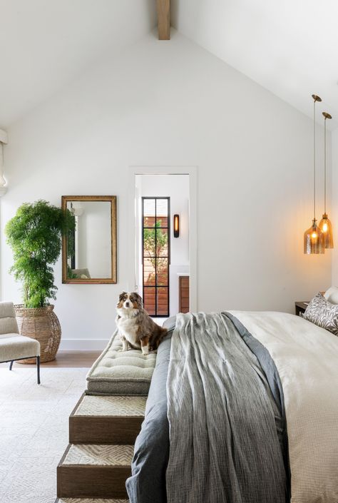 Pets Play a Big Role in Home Improvement Projects Dog In Bedroom, Atelier Interior Design, Atelier Interior, Coventry Homes, Outdoor Renovation, Drapes And Blinds, Transitional Bedroom, Flat Panel Cabinets, Pet Friendly Home