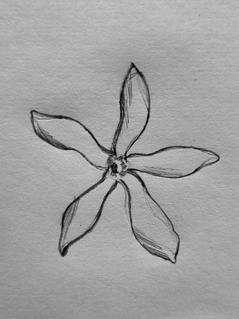 White Jasmine Tattoo, Star Jasmine Flower Tattoo, Sampaguita Jasmine Flower Tattoo, Jasmine Plant Tattoo, Jasmine Flower Tattoo Design, Star Jasmine Tattoo, Jasmine Drawing Flower, Jasmine Flower Drawing Tattoo, Jasmine Flower Sketch