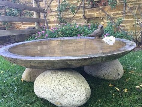 Concrete Bird Bath, Diy Bird Bath, Bird Bath Garden, Smen, Water Features In The Garden, Garden Fountains, Opening Hours, Garden Structures, Rustic Gardens