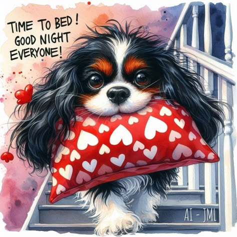 Cavalier King Charles Spaniel Tricolor, King Charles Cavalier, Brown Puppy, Cavalier King Charles Dog, Good Night Everyone, King Charles Dog, Brown Puppies, Emotional Support Dog, Dog Items