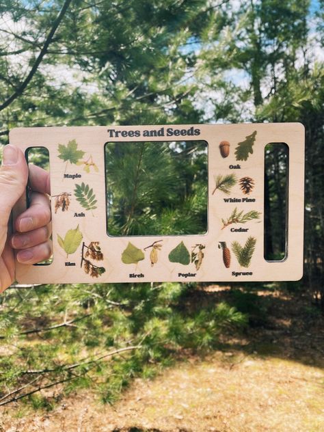 Nature Window Nature Hunt Nature Identifier Nature Guide - Etsy Animal Presentation Ideas, Nature School Aesthetic, Nature Hunt For Kids, Dress Gender Reveal, Diy Christmas Card Ideas, Nature Guide, Gender Reveal Dress, Nature Hunt, Diy Christmas Card