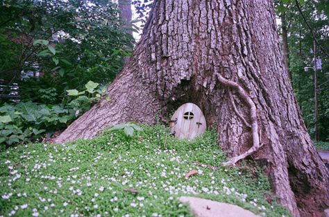 Faerie Door, Gnome House, Hobbit House, Garden Terrarium, Garden Pictures, Fairy Doors, Enchanted Garden, Nature Tree, Through The Looking Glass