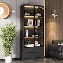 Trophy Cabinets, Shelves For Living Room, Glass Display Cabinet, Living Room Black, Furniture Storage Cabinets, Home Themes, Glass Cabinets Display, Room Black, Home Office Design