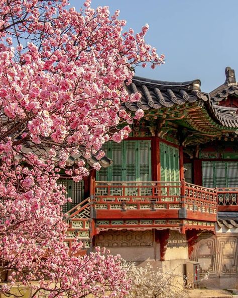 Taekook Fanfiction, Korean Palace, Changdeokgung Palace, Seoul Travel Guide, Japan Autumn, Seoul Travel, Outdoor Aesthetic, Rich And Famous, South Korea Travel