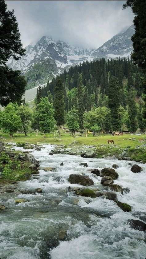 Kashmir India Beauty, River Wallpaper Nature, River Aesthetic Wallpaper, Kashmir Wallpaper, Kashmir Mountains, Kashmir Nature, Mountain Aesthetic Wallpaper, Kashmir Aesthetic, Dumas Beach