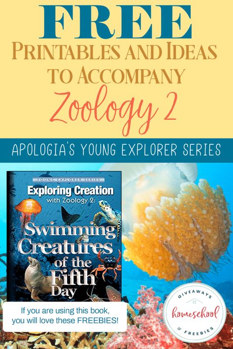 Using FREE Printables with Apologia Zoology 2: Swimming Creatures - Homeschool Giveaways Free Alphabet Tracing Printables, Ocean Unit, Ocean Kids, Science Themes, Homeschool Lesson, Science Curriculum, Facts For Kids, Elementary Science, Homeschool Science