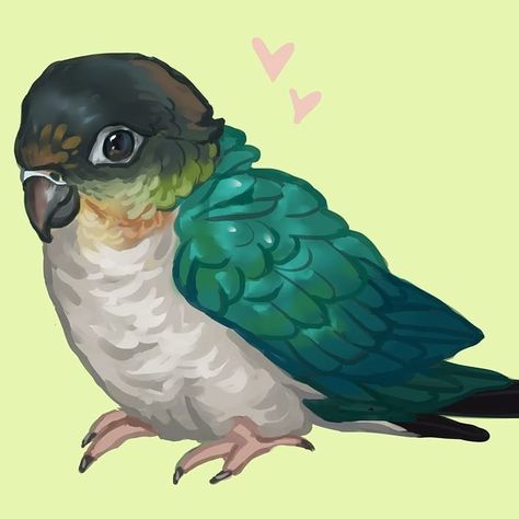 Conure Drawing, Chibi Bird, Conure Parrots, Budgies Bird, Parrots Art, Dragon Sketch, Bird Drawings, Cute Kawaii, Drawing Inspiration