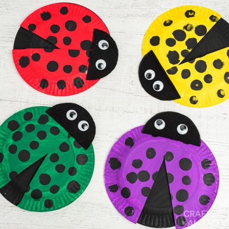 Paper Plate Ladybug Craft Preschool, Insects Art, Valentines Classroom, Teacher Crafts, Mini Beasts, Insect Activities, Fun Summer Crafts, Paper Plate Crafts For Kids, Toddler Class