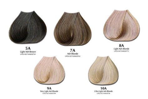 Asch-Nuance von Blond und Braun, Haarfarbe-Palette, künstliche Haare Which Hair Colour Suits Me, Blonde Hair With Silver Highlights, Balayage Asian, Brown Hair With Silver Highlights, Dark Ash Brown Hair, Blonde Hair Color Chart, Light Ash Brown Hair, Brown Hair Color Chart, Which Hair Colour