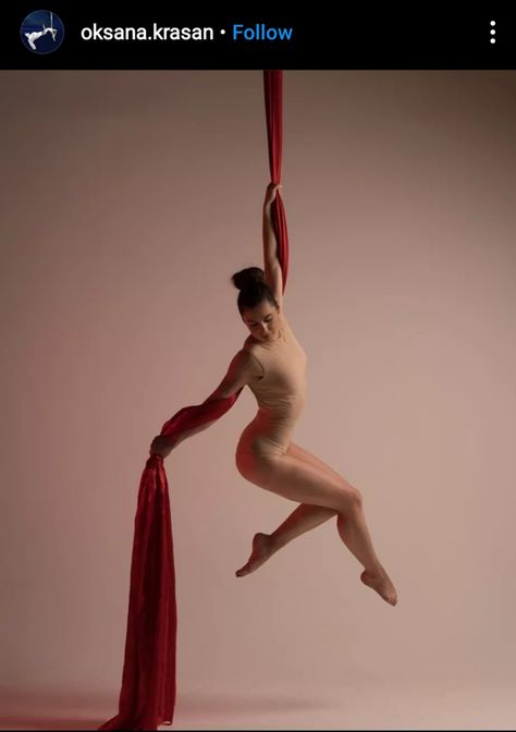 Ariel Hoop Poses, Aerial Arts Photography, Acrobat Poses Reference, Ariel Silks Poses, Aerial Silks Photography, Aerial Silks Poses, Silks Poses, Aerial Photoshoot, Aerial Poses