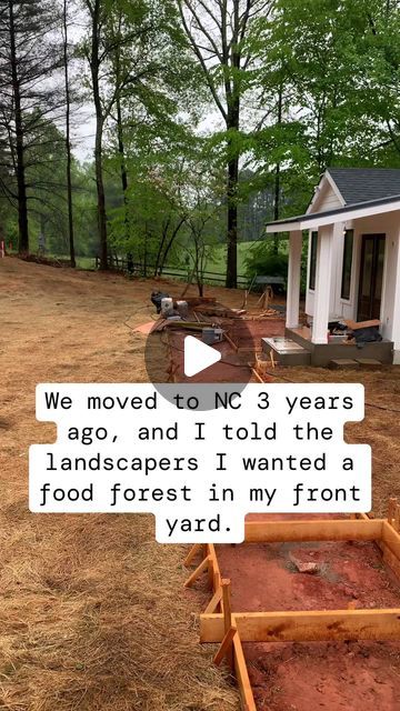 Homestead Life | Farming on Instagram: "I have over 40+ medicinal and edible plant varieties in my tiny front yard.
(Via "go_slowandsteady)

I’m so glad I didn’t listen…

For those of you wondering if there’s a better way, believe me there is. Not only does my Food Forest feed my family but it also feeds birds, deer, pollinators, soil microorganism, friends, family, and the list goes on and on…

Wouldn’t it be great if your front yard actually worked for you? What if you could transform your patch of grass into something that could feed your family for generations with VERY little input?

This is what leaving a legacy means to me.

.
.
.
The copyright of this post doesn’t belong to @homesteadlife.real, nor do we intend to monetize this content. DM us for Removal.

#homestead #homesteadlife Tiny Front Yard, Soil Microorganisms, Plant Varieties, Dream Yard, Leaving A Legacy, Food Forest, Forest Garden, Garden Containers, Food Garden