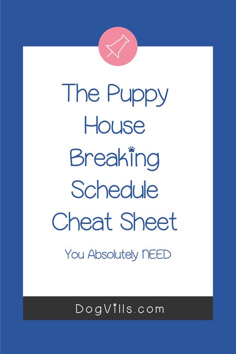 You have the cutest little puppy in your arms, no place for a crate and now you are wondering how to housebreak your puppy without a crate.  Dread now fills your head.  “Am I ever going to be able to put him down?” you ask yourself.  The good news is yes, you can set him down. Bringing Home Puppy Checklist, Bringing A New Puppy Home, How To House Break A Puppy Fast, How To House Train A Puppy Fast, How To Introduce New Puppy To Dog, Adoption Tips, Puppy Schedule, Puppy House, Funny Dog Photos