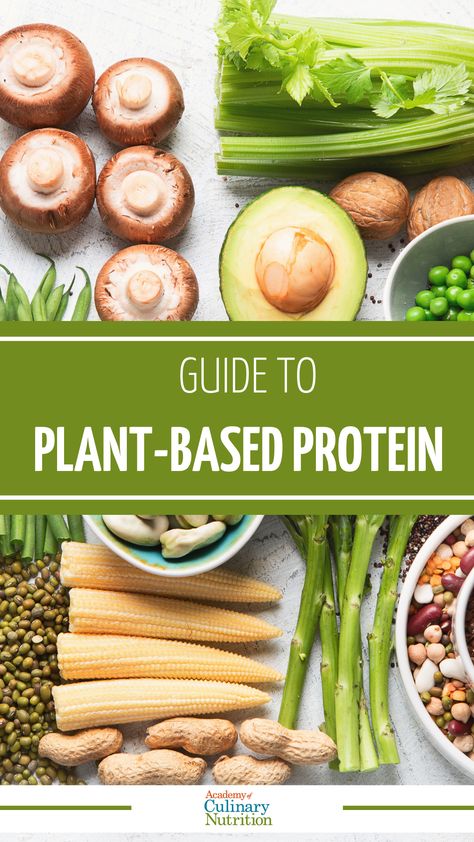 In this guide on plant-based proteins, we'll walk you through the world of plant-based protein and help you determine the best sources, the advantages and disadvantages, and how to use plant-based proteins in recipes. Plant Based Complete Protein, Plant Carbohydrates, Carbohydrates Recipes, Proteins For Vegetarians, Plant Protein Sources, Beyond Burger, Top Types, Plant Based Protein Sources, Protein Options