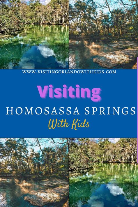 If your family loves to spend time outdoors communing with mother nature, then pack your bags and head to Homosassa Springs, Florida! You won’t be disappointed because Homosassa Springs is no ordinary travel destination. From birdwatching and kayaking to saying hi to Lu, a resident hippo, there’s no shortage of things to do and try at this park. And that’s not even including the highlight of the location; the Homosassa Springs manatees! Homassassa Florida, Homosassa Springs Florida, Homosassa Florida, Swimming With Manatees, Blue Springs State Park, Kelly Park, Ocala National Forest, Saying Hi, Visit Orlando