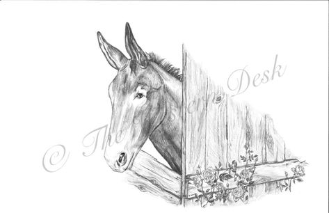 Mule Tattoo, Western Desk, Cowgirl Tattoos, Blog Header, Clipart Black And White, Sketchbook Art, Sketchbook Art Inspiration, Art Sketchbook, Pencil Drawings